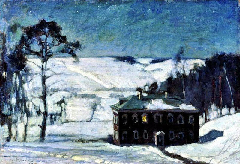 moonlit night in winter